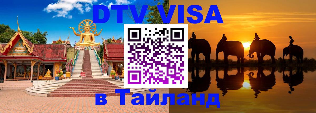 Сколько стоит DTV виза — актуальные цены, оформление даже без документов - 18.11.2025 